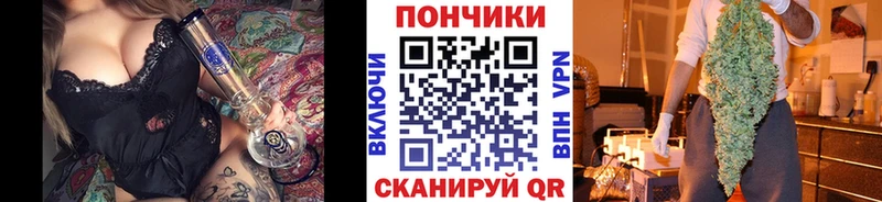 Где продают наркотики Кириши Канабис  Cocaine  Alpha-PVP  Мефедрон 