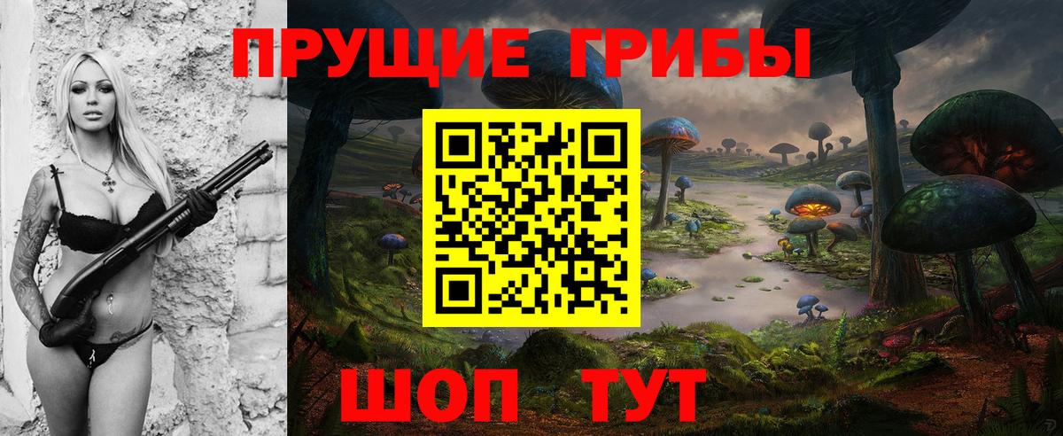 Псилоцибиновые грибы прущие грибы  Вход с VPN  Кириши 